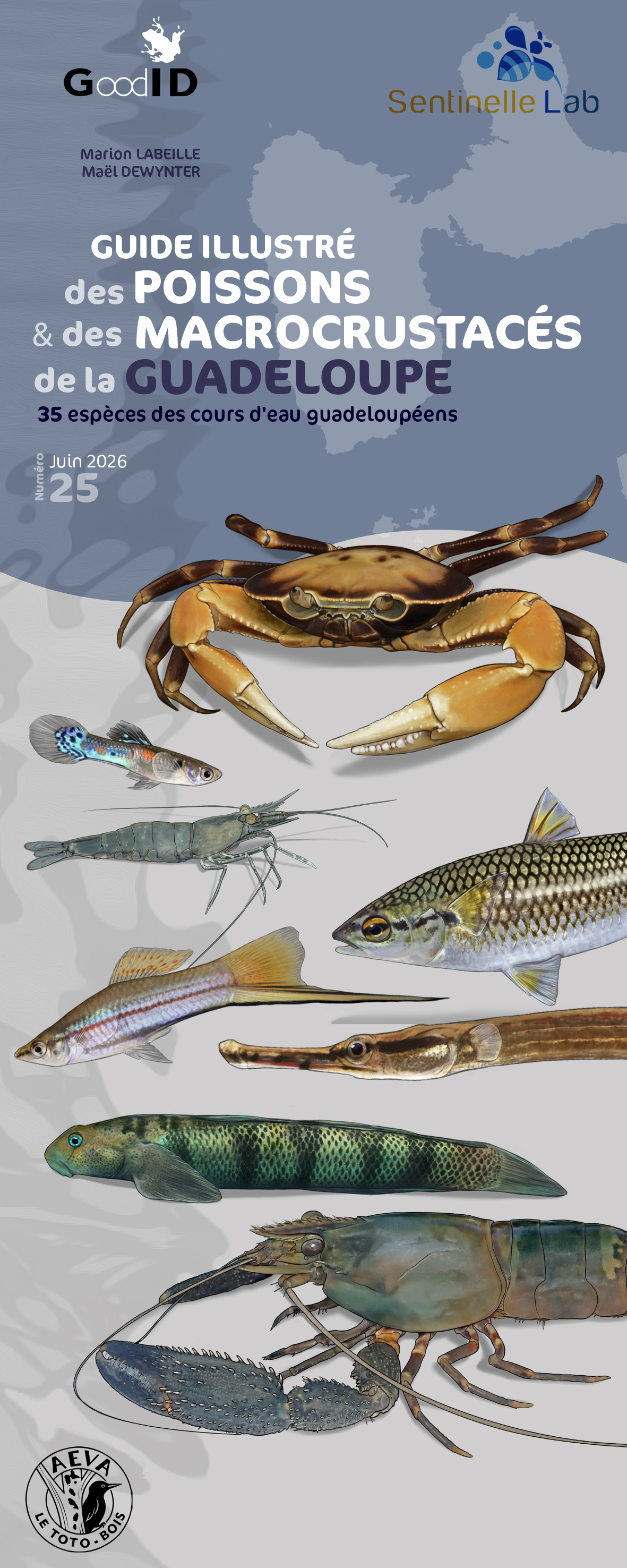 Guide illustré des poissons & macrocrustacés d’eau douce de la Guadeloupe